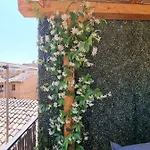 Paradise Penthouse Amazing View 公寓 罗马